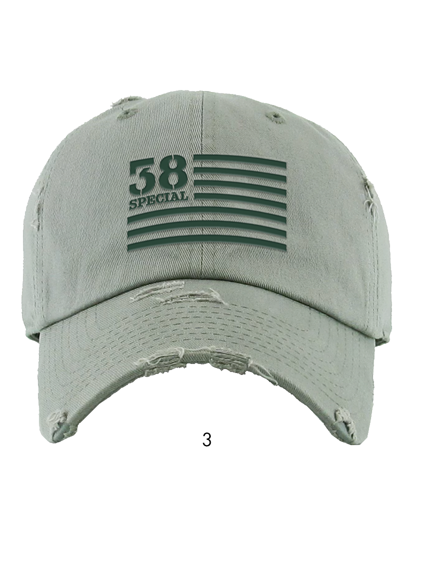 Embroidered Canvas vintage patriot Hat Moss
